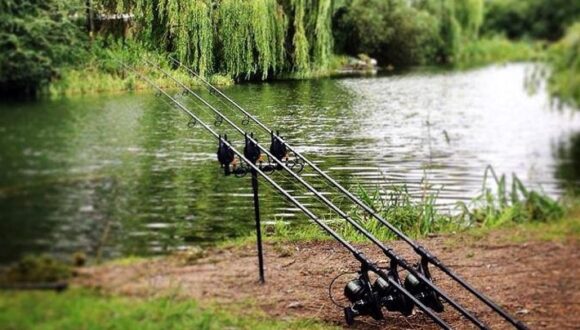 Landscape of fishing rods along the side of a lake.